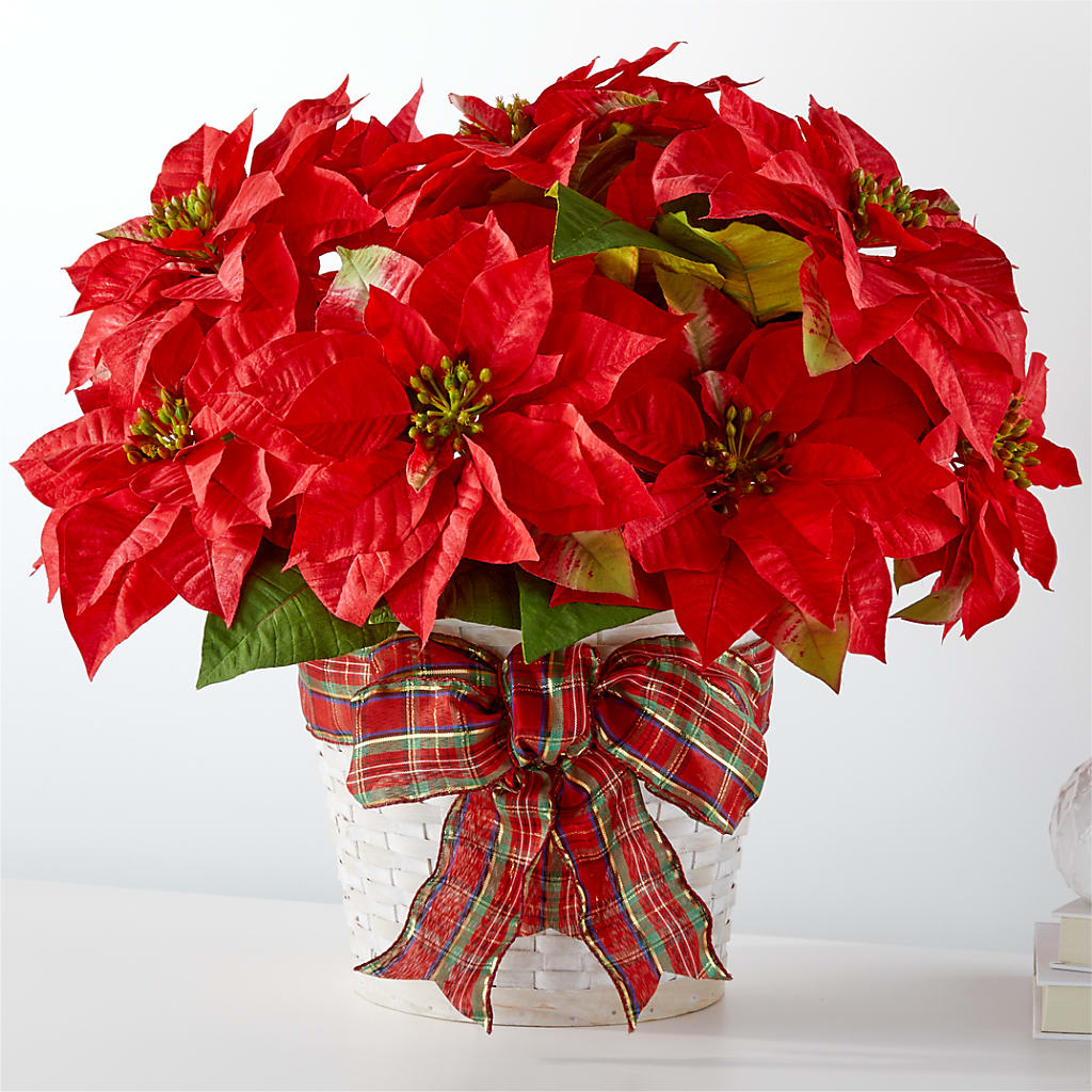 Happiest Holidays Poinsettia – Cb Florist, Canton MI