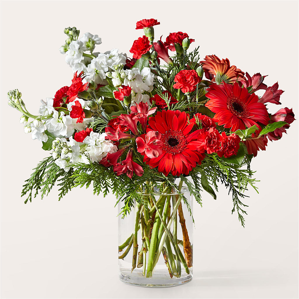 Holidaisy Bouquet – Cb Florist, Canton MI