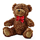 Adorable Plush Bear –  Cb Florist, Canton MI
