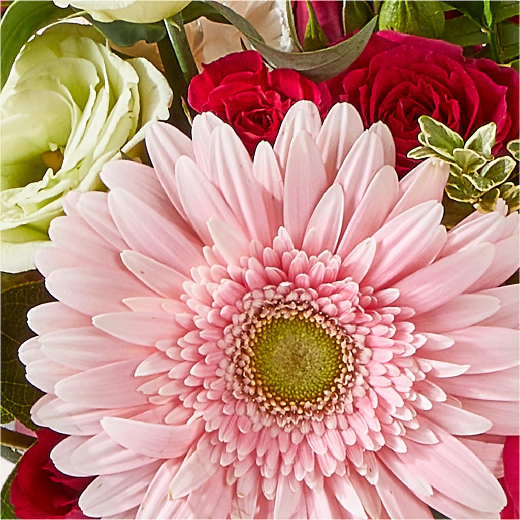 Too Cute Bouquet –  Cb Florist, Canton MI