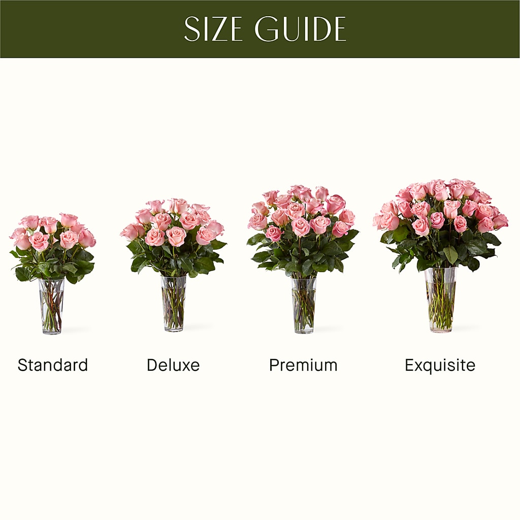 Long Stem Pink Rose Bouquet –  Cb Florist, Canton MI