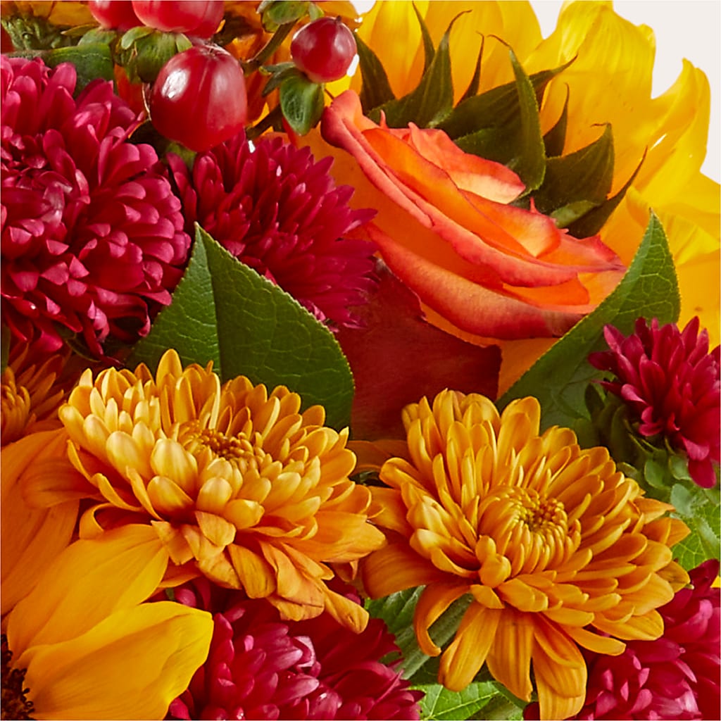 Sweater Season - A Florist Original –  Cb Florist, Canton MI