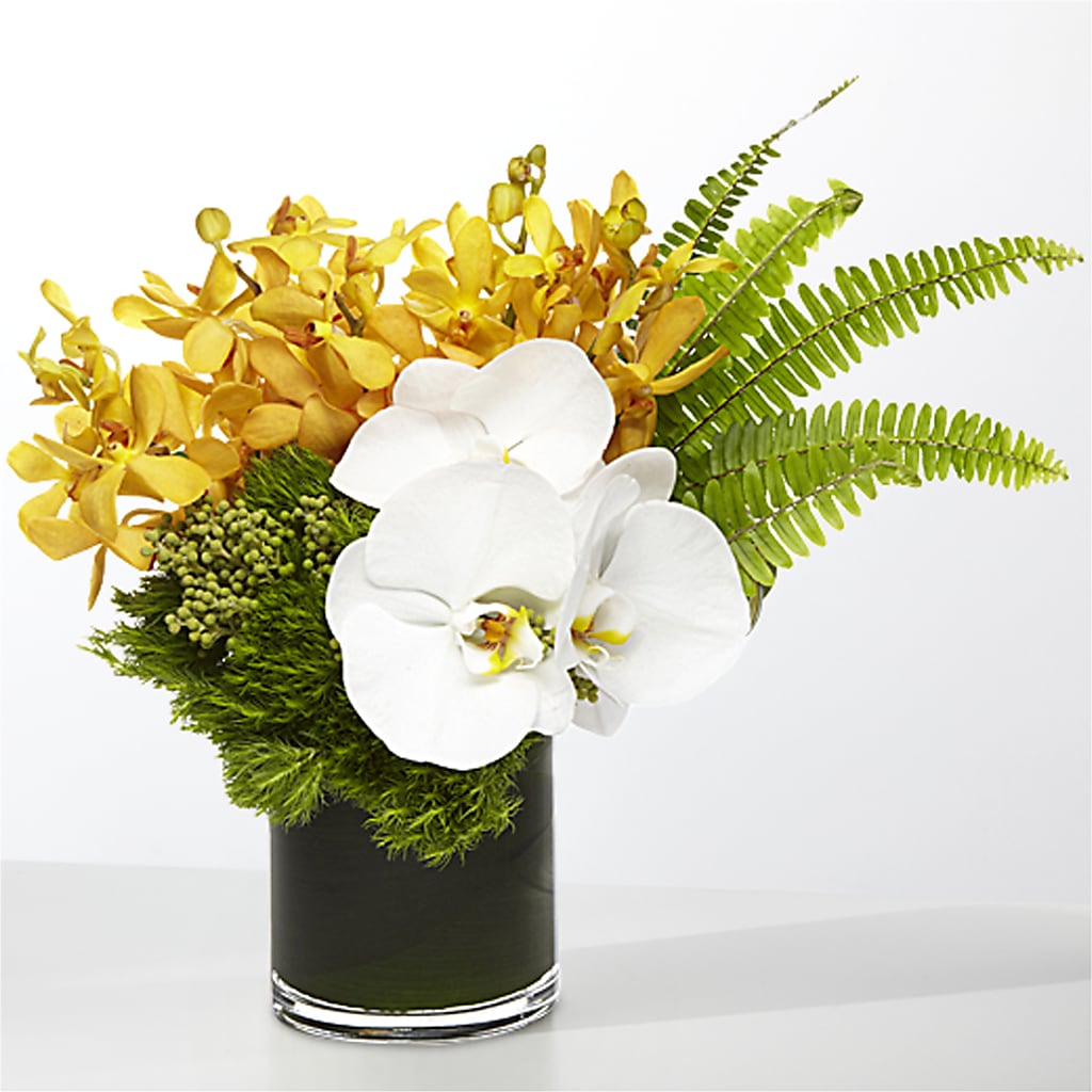 The Tropics –  Cb Florist, Canton MI