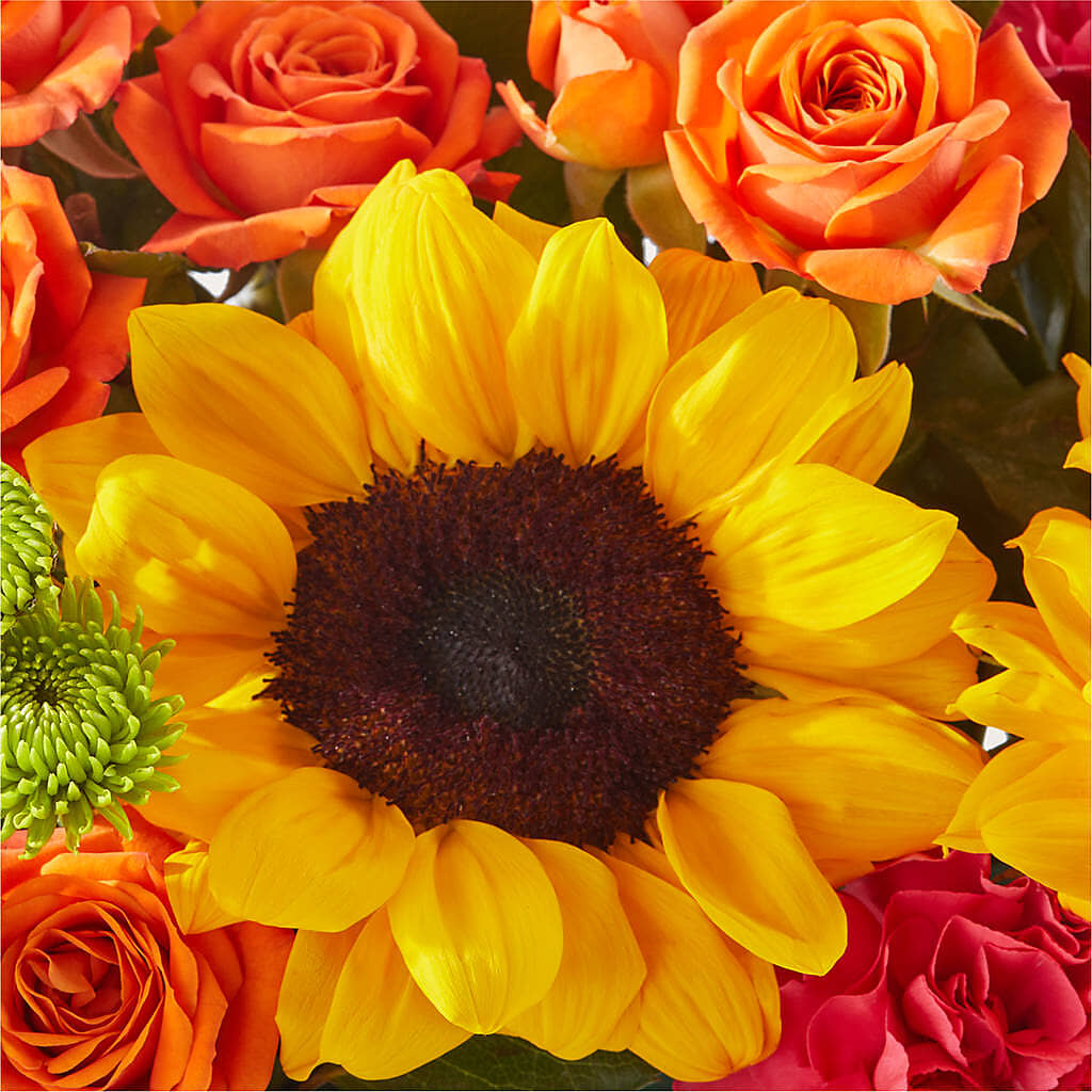 Sun-drenched Blooms Box Bouquet –  Cb Florist, Canton MI