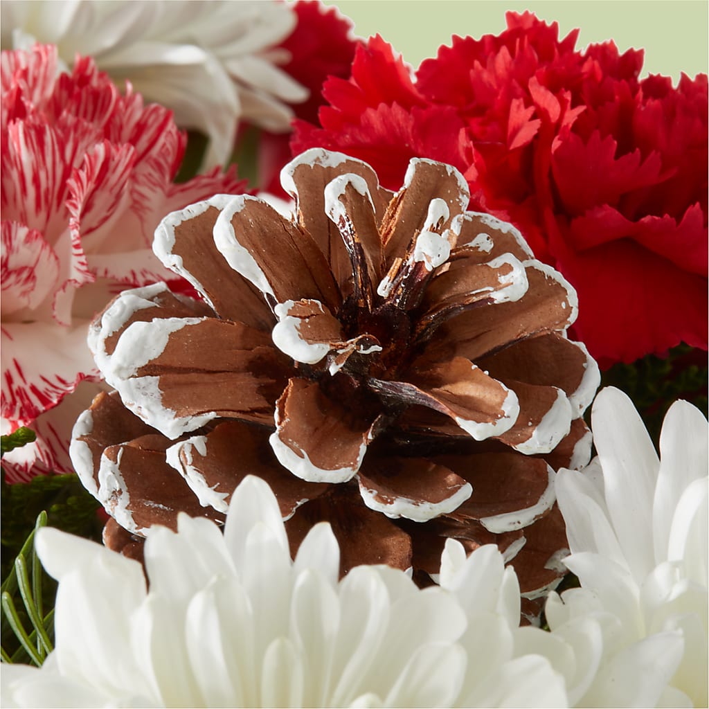 Candy Cane Lane Bouquet –  Cb Florist, Canton MI