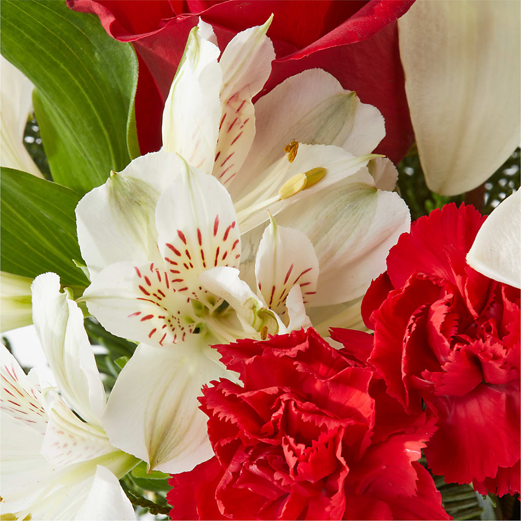 Holiday Season Bouquet –  Cb Florist, Canton MI
