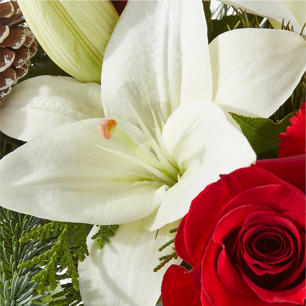 Oh So Jolly Bouquet –  Cb Florist, Canton MI