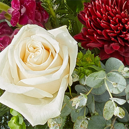 Cranberry Fizz Bouquet –  Cb Florist, Canton MI