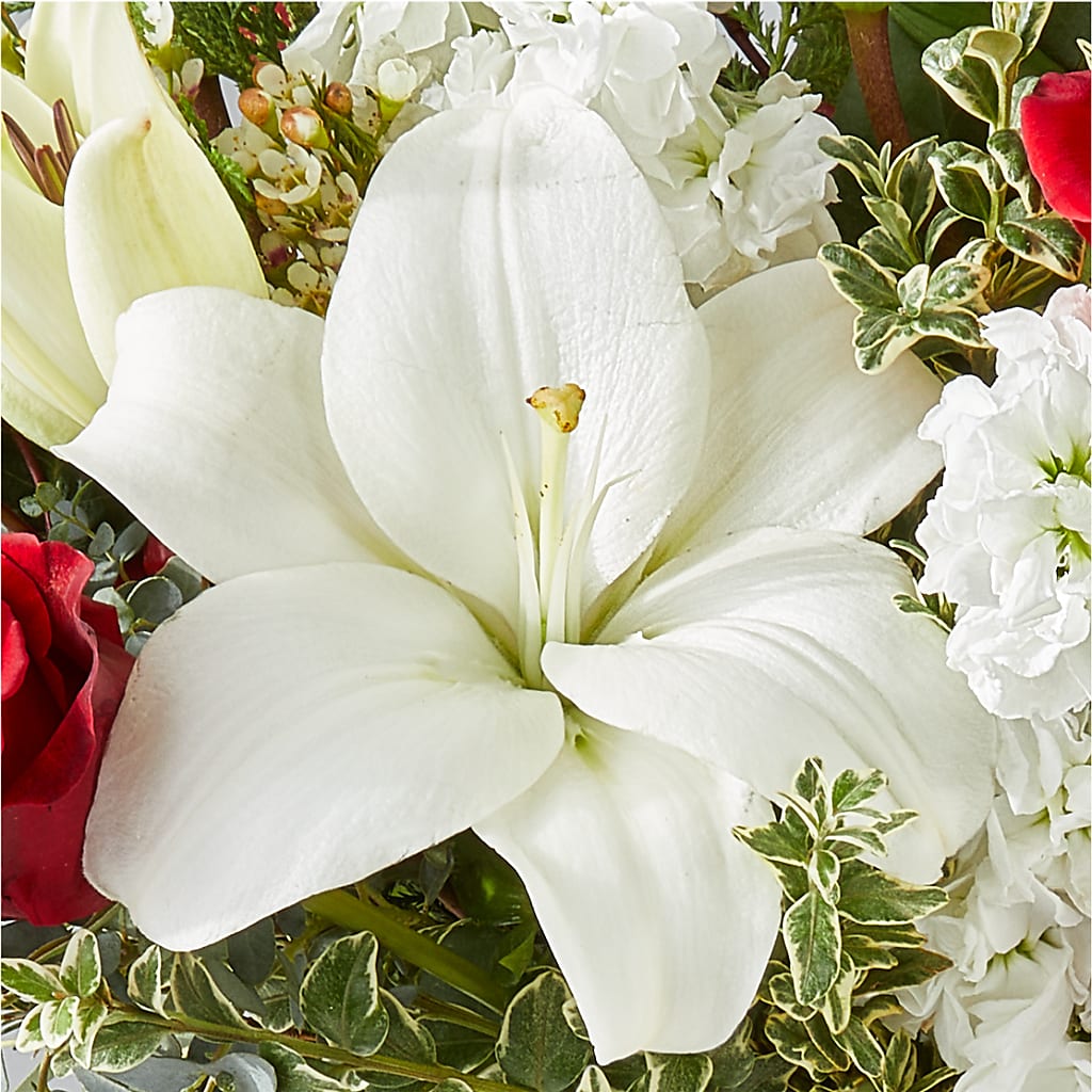 Twinkle Lights Bouquet –  Cb Florist, Canton MI