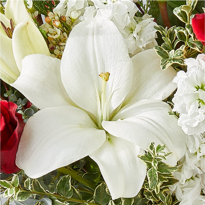 Twinkle Lights Bouquet –  Cb Florist, Canton MI
