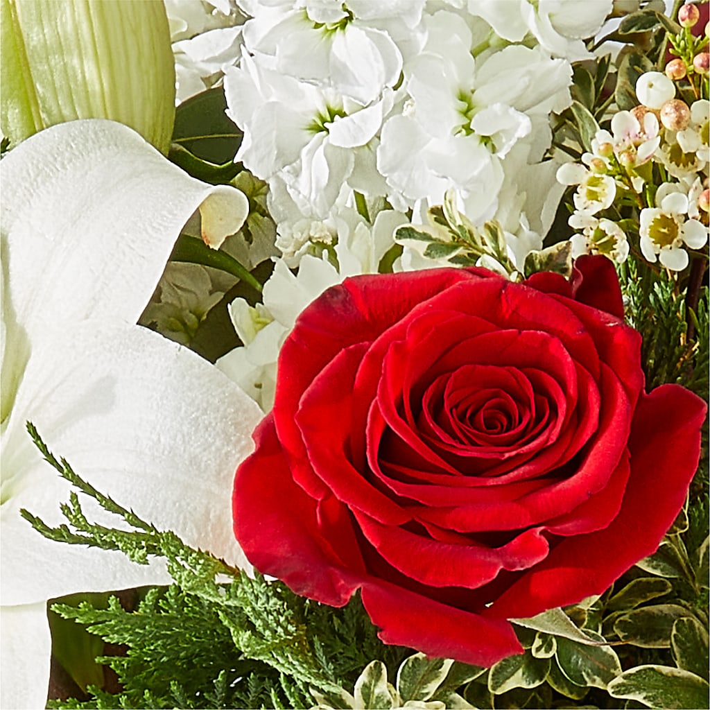 Twinkle Lights Bouquet –  Cb Florist, Canton MI