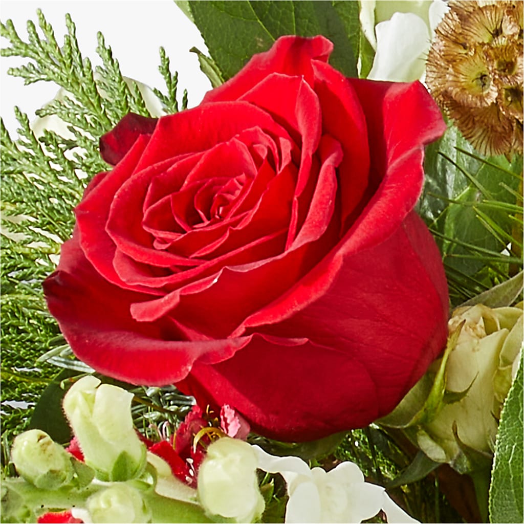 Deck the Halls Bouquet –  Cb Florist, Canton MI