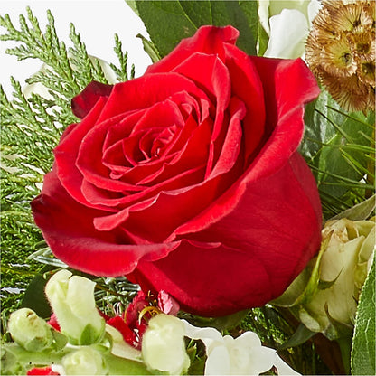 Deck the Halls Bouquet –  Cb Florist, Canton MI