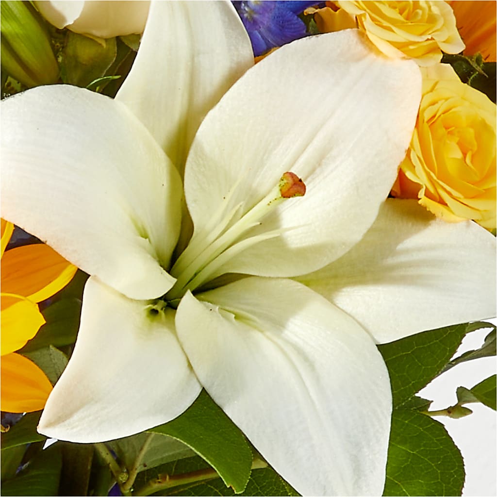 Wonderfully Sunny Bouquet –  Cb Florist, Canton MI