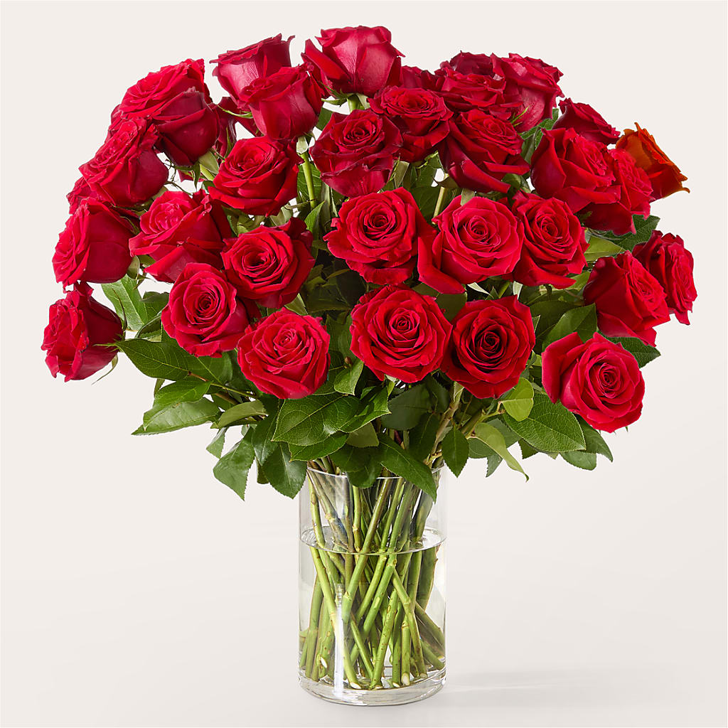 The One Red Rose Bouquet –  Cb Florist, Canton MI