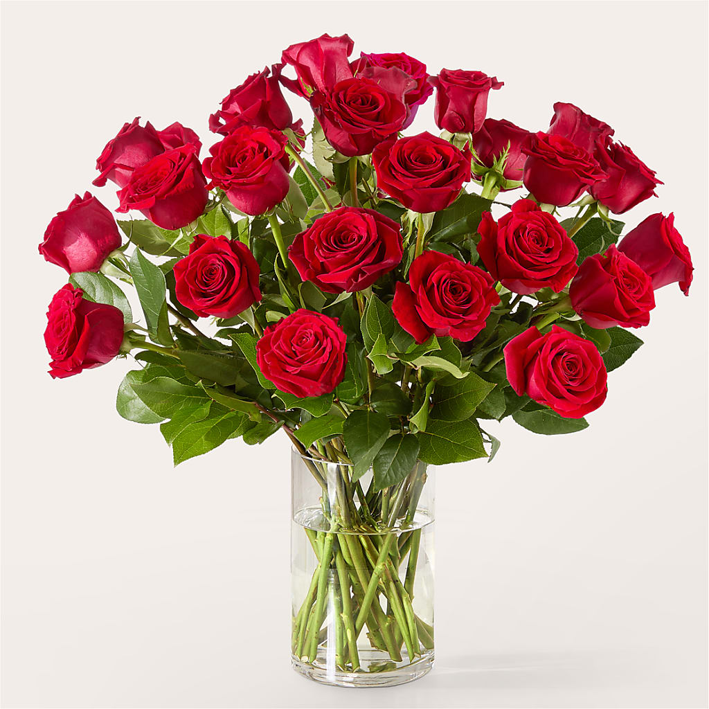 The One Red Rose Bouquet –  Cb Florist, Canton MI