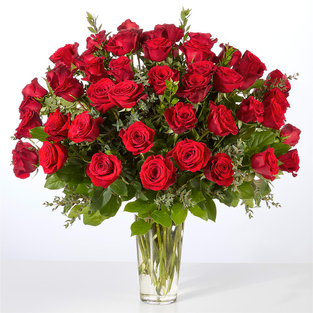 Forever Yours Fifty Stem Red Rose Bouquet –  Cb Florist, Canton MI