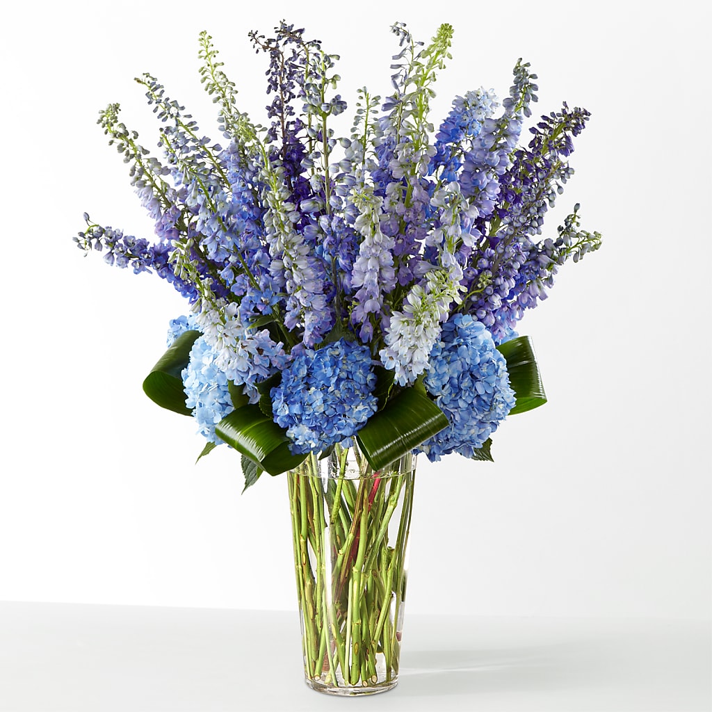 The Editorial –  Cb Florist, Canton MI